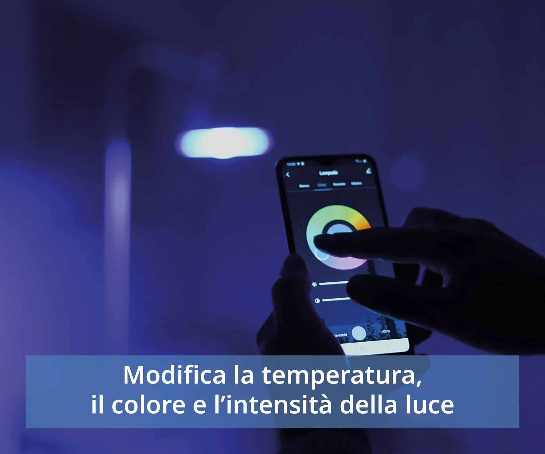 Miniatura 8