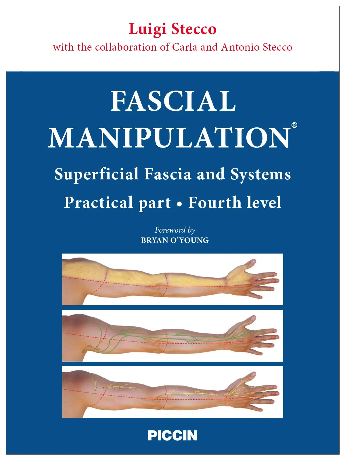 Fascial manipulation. Superficial fascia and systems. Practical part-fourth level
