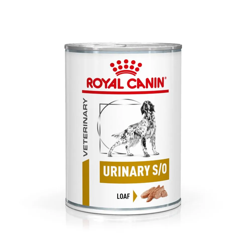 Royal Canin Veterinary Urinary S/O | 12 x 410 g | Mangime dietetico completo per cani adulti | Per sciogliere i calcoli di struvite e ridurre le recidive di calcoli di struvite