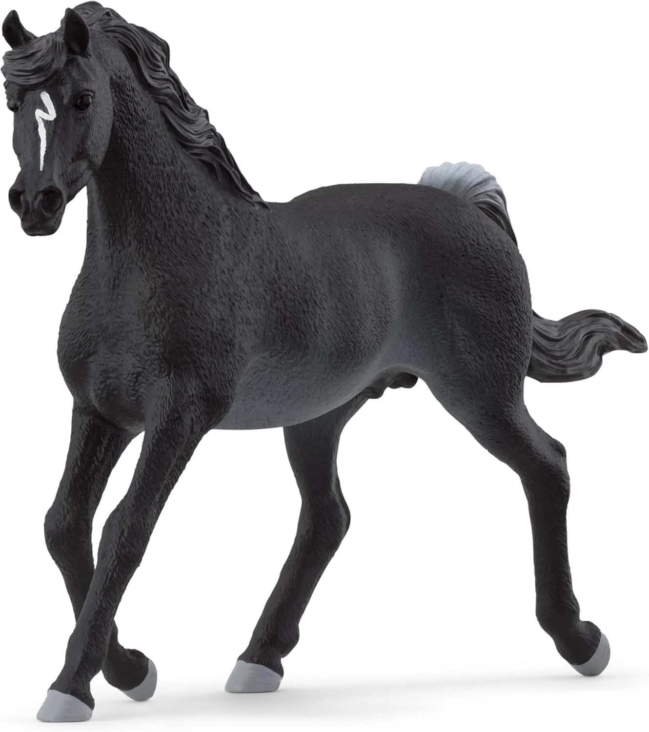 SCHLEICH 13981 Stallone Arabo, da 5 Anni, Horse Club - Figura, 5 x 15 x 10 cm