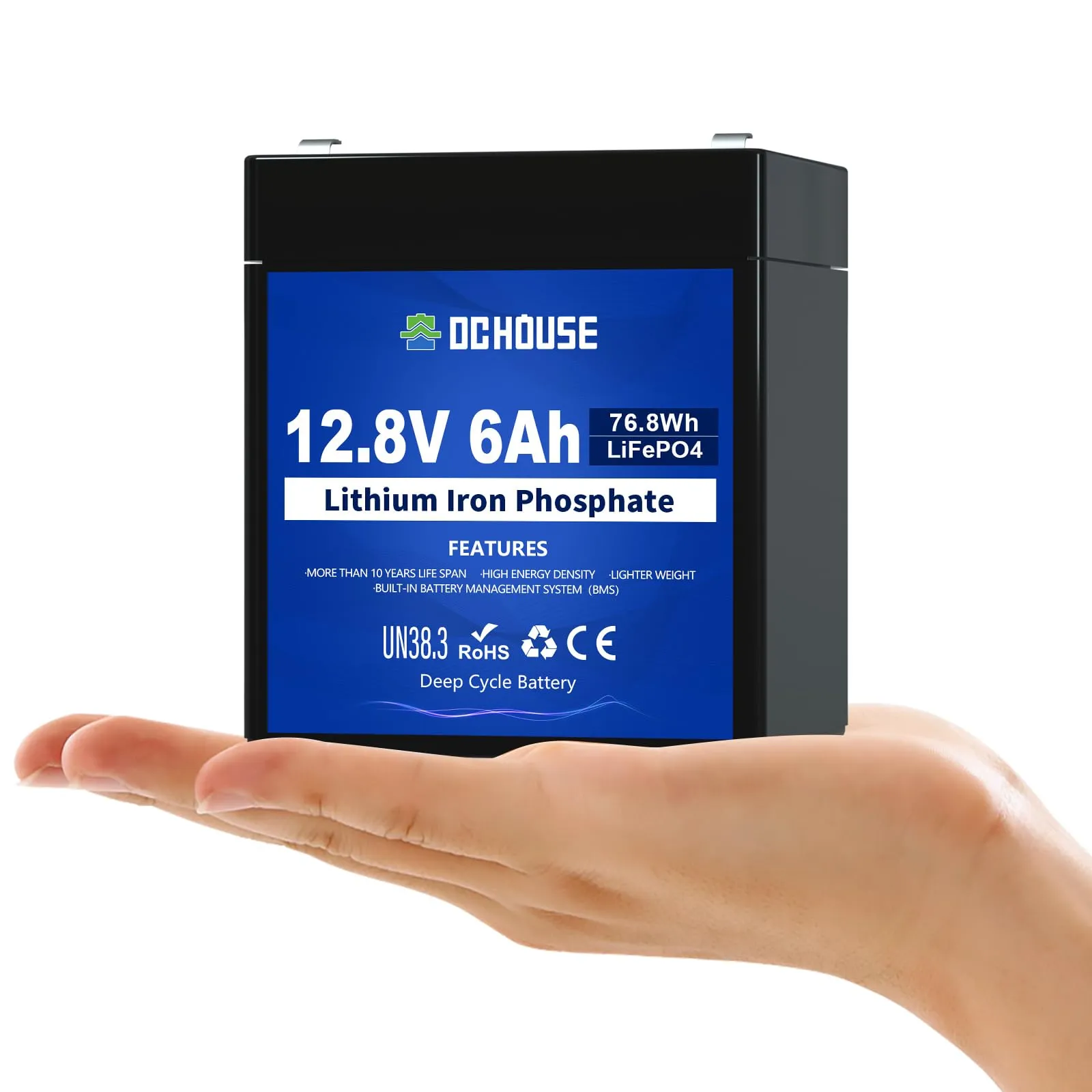 DCHOUSE Batteria Litio 12V 6Ah Mini, Max.15000 Cicli e Con Protezione BMS, Ricaricabile Batteria LiFePo4 12V Per UPS, Ecoscandaglio, Passeggino, Pannello Solare, Campeggio, Impianto Solare, Camper