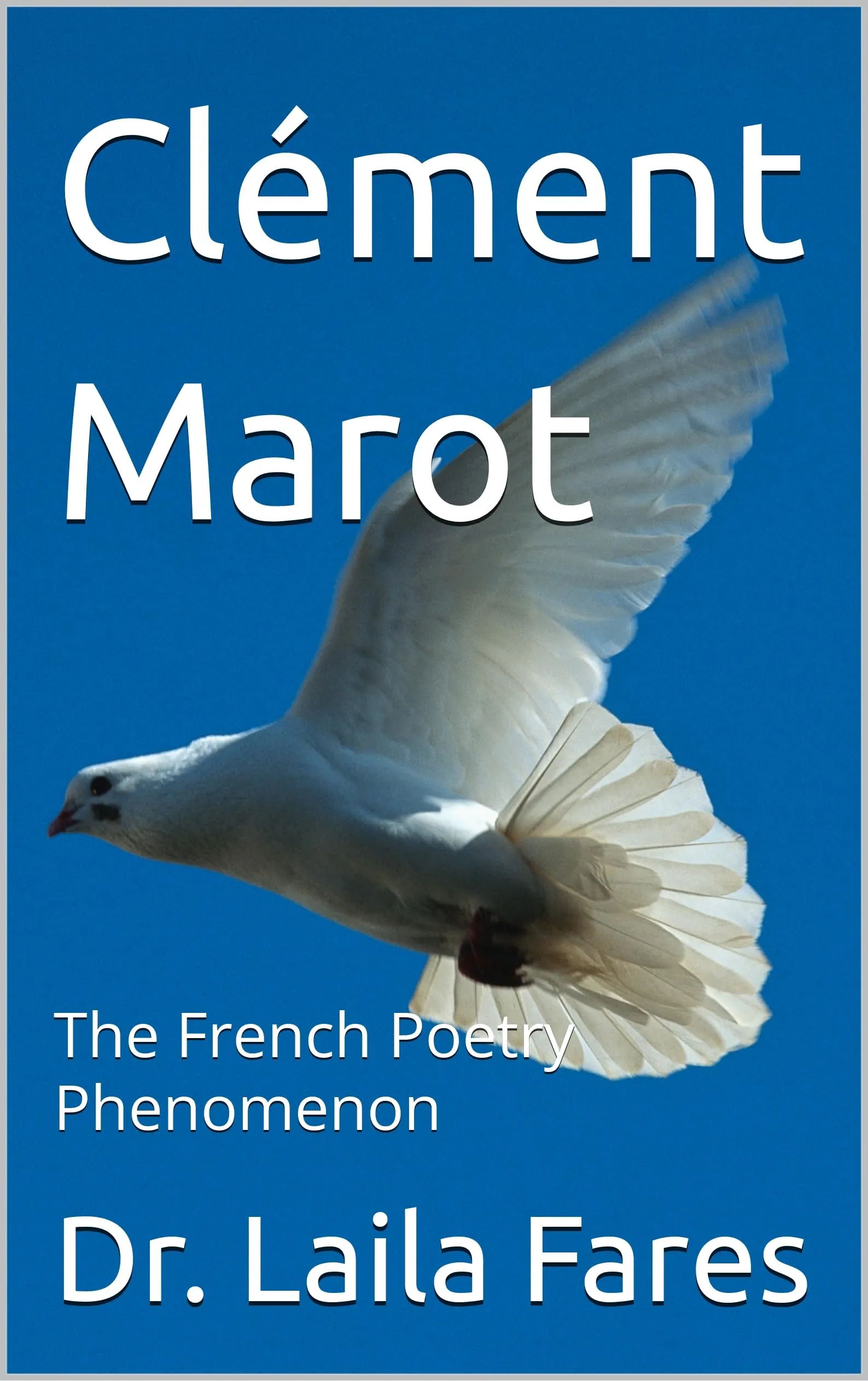 Clément Marot : The French Poetry Phenomenon (English Edition)