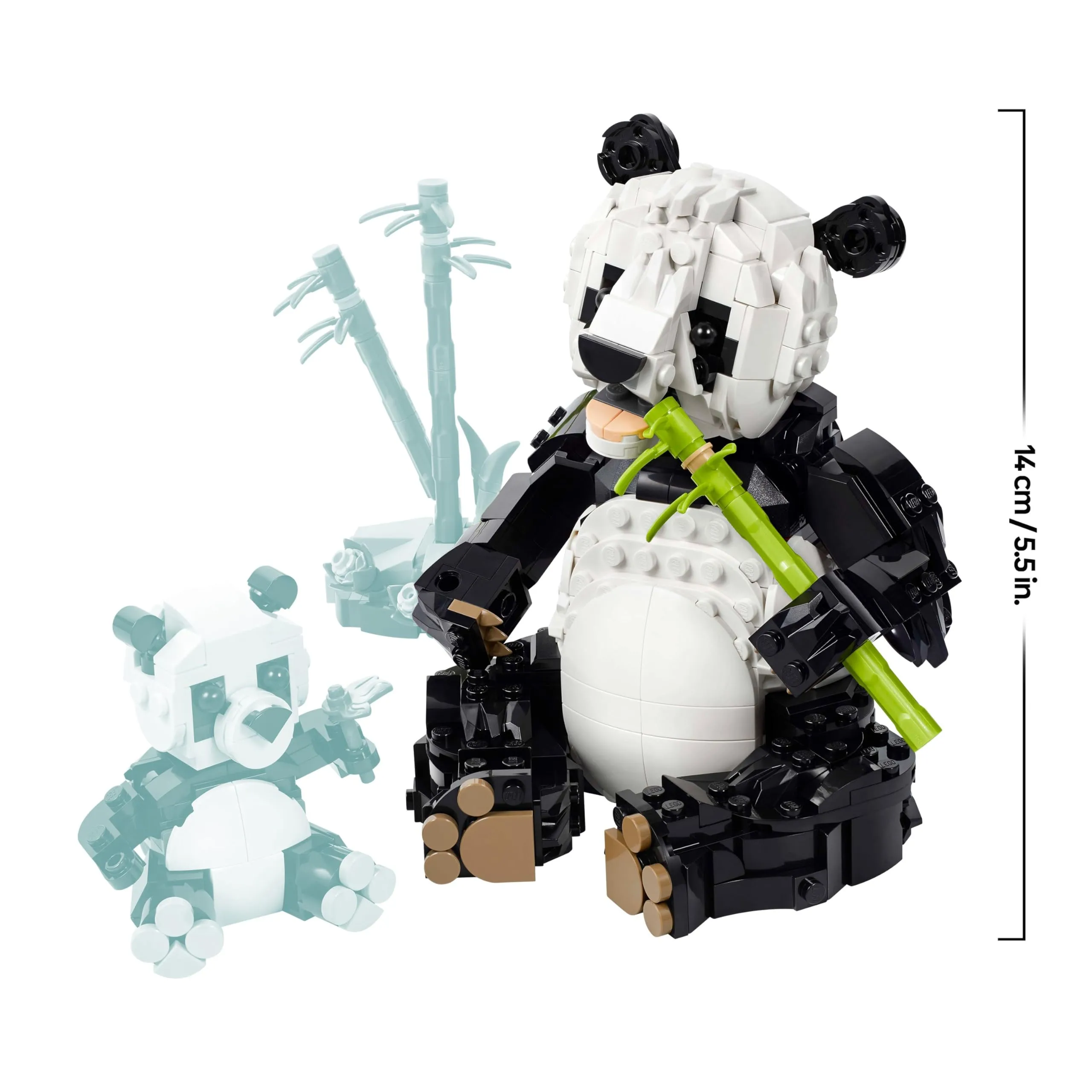 Miniatura 8