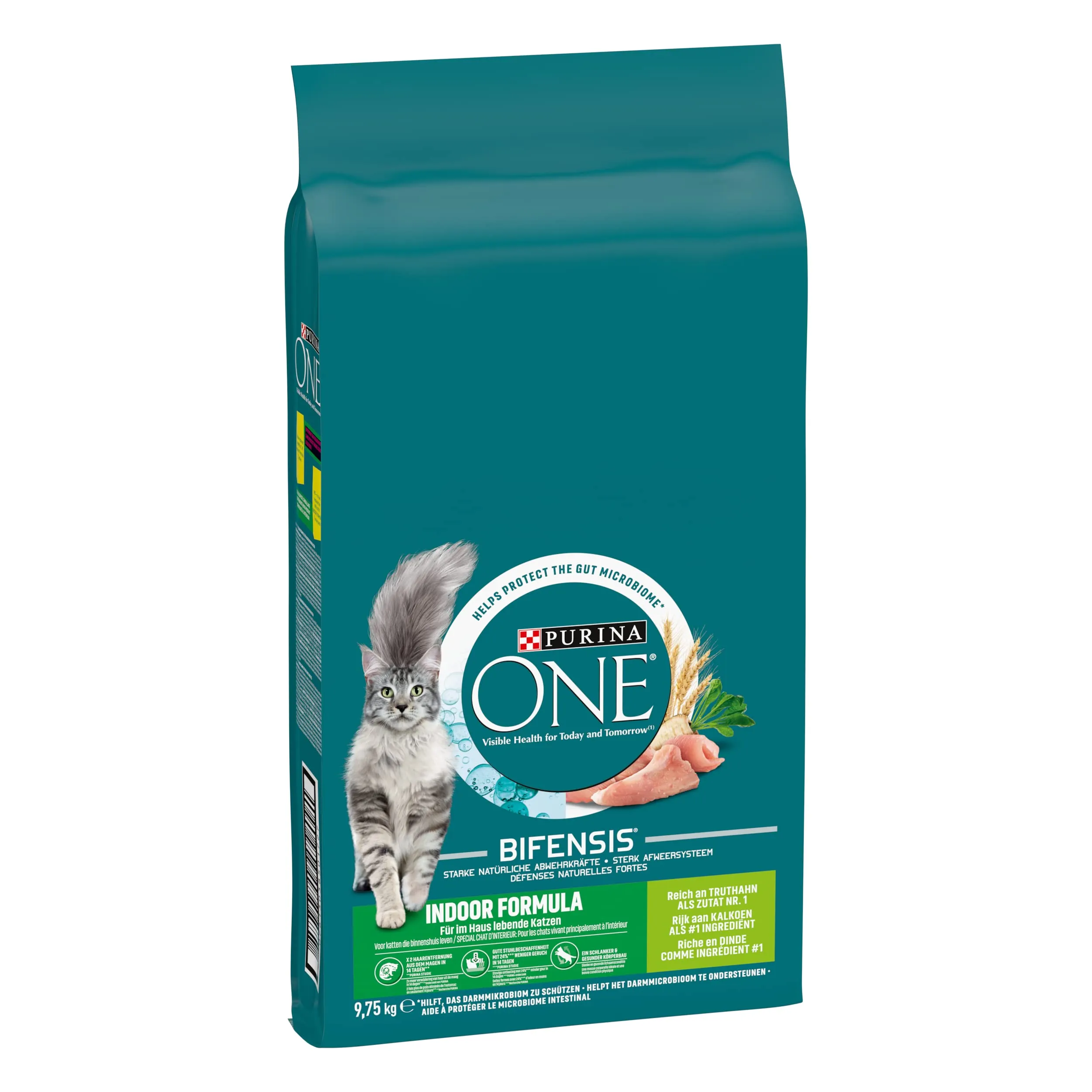 PURINA ONE Bifensis Indoor Formula Crocchette per Gatti Adulti con Tacchino e Cereali Integrali Sacco da 9.75kg