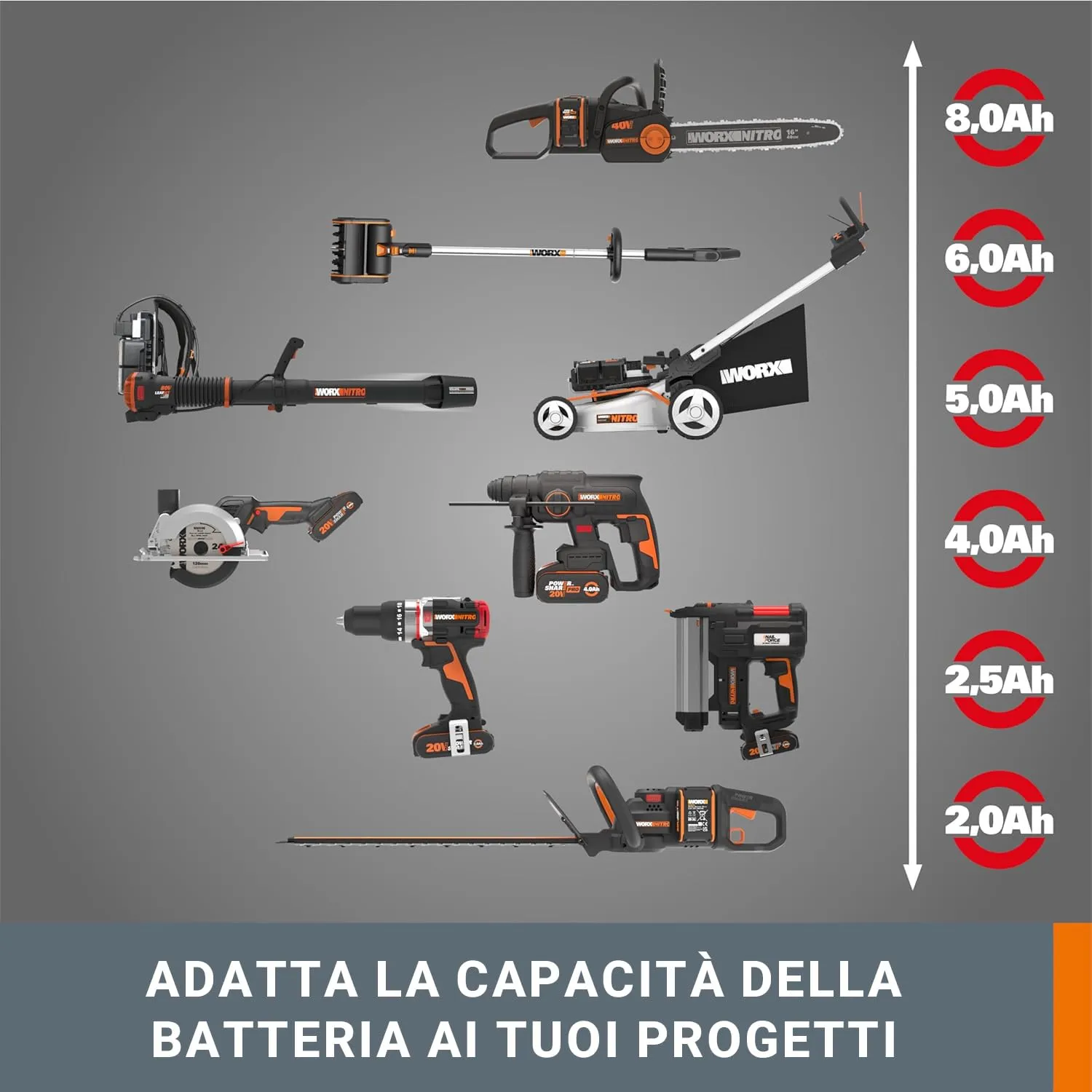 Miniatura 11