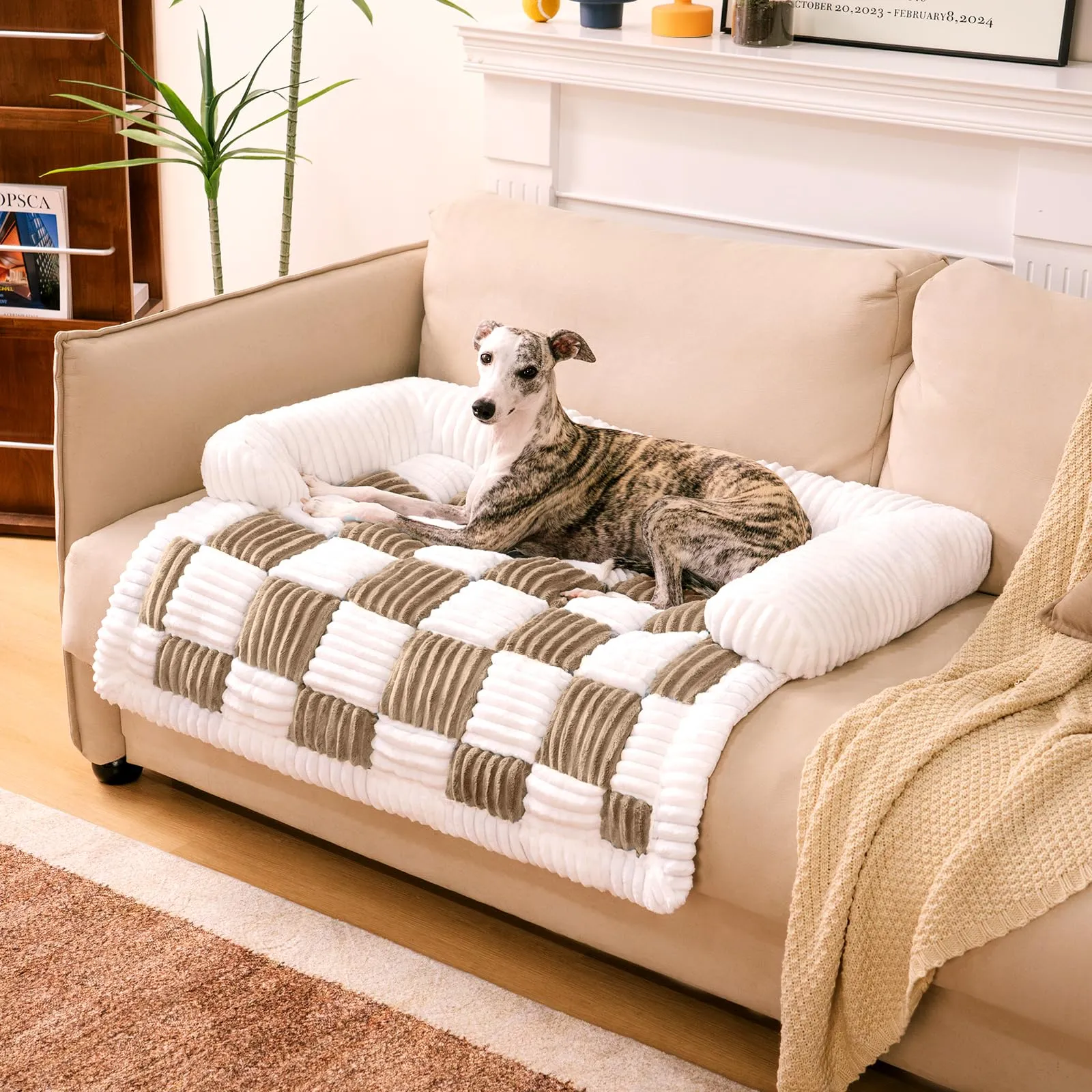 FUNNY FUZZY Copridivano per divano e animali domestici, tappetino per cani in peluche per proteggere i mobili, color crema, quadrato, plaid accogliente, marrone latte, grande