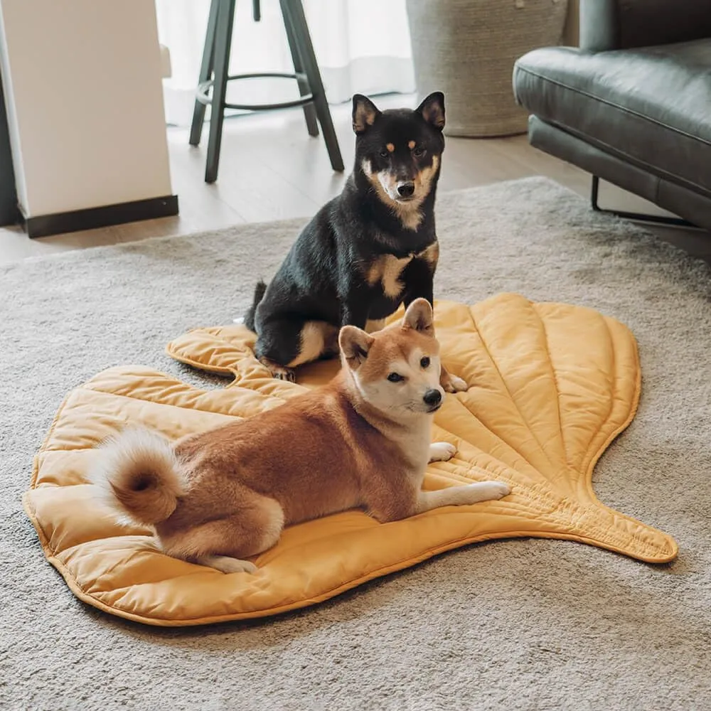 FUNNY FUZZY Coperta per cani con foglie, 127 x 114 cm, lavabile, a forma di cuore, giallo dorato