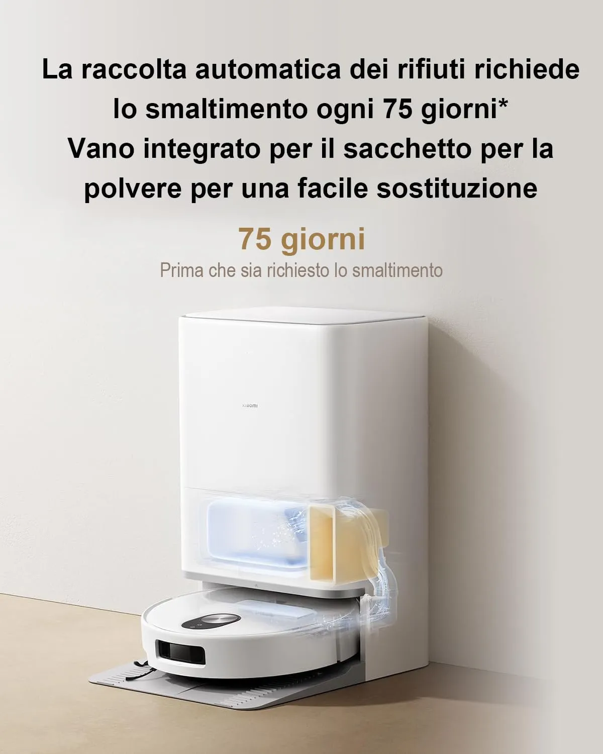 Miniatura 10