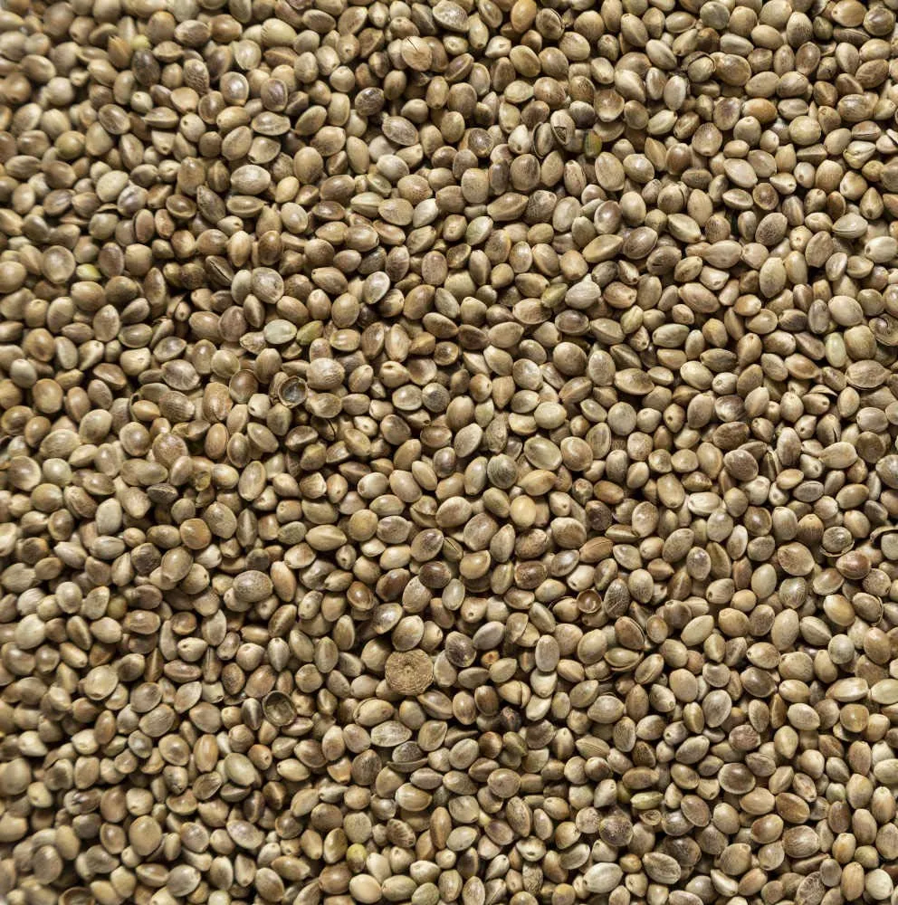 Il Contadino, Canapa ad Uso ZOOTECNICO, qualità Superiore (5 kg)