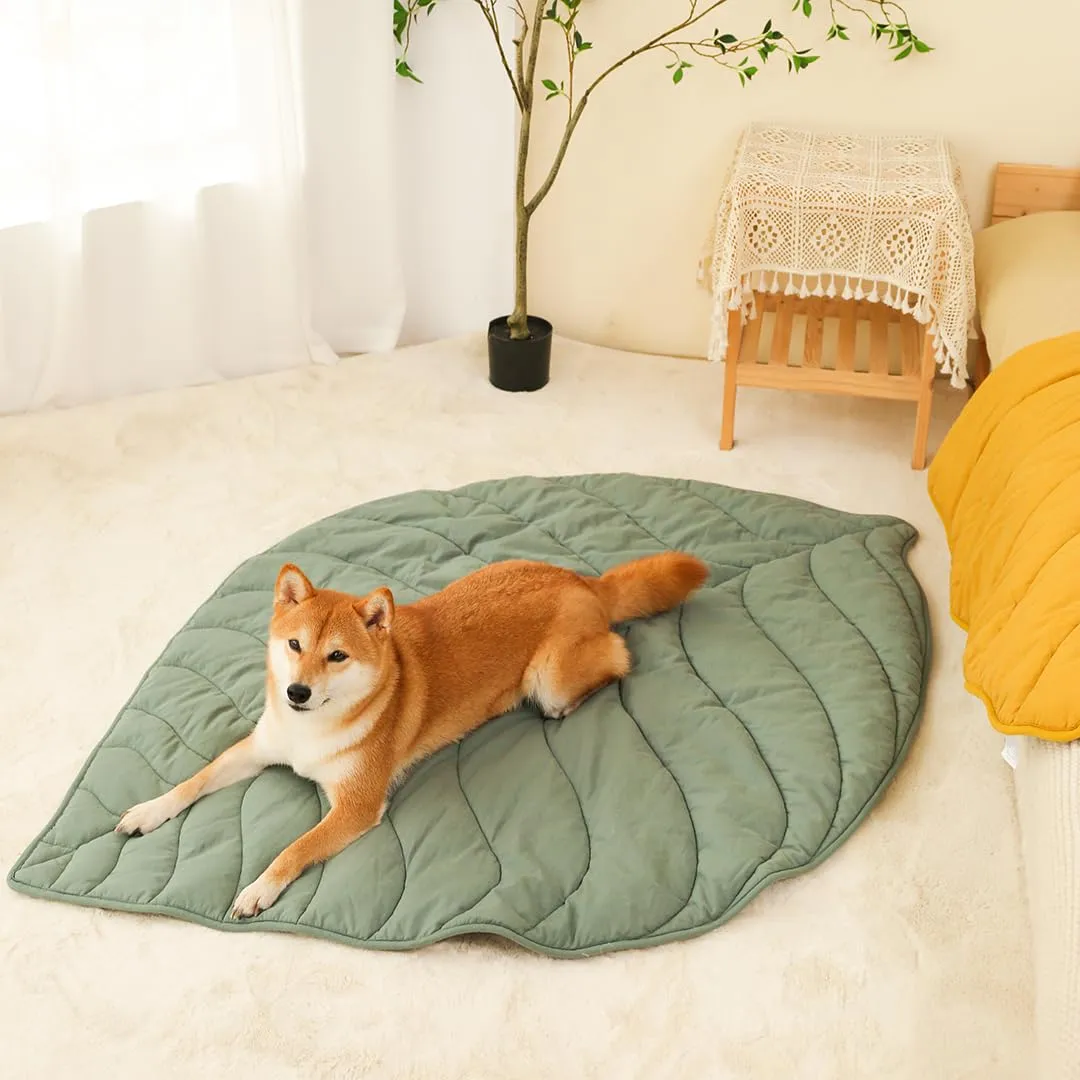 FUNNY FUZZY Coperta per cani e gatti, 106 x 142 cm, con motivo a foglie, lavabile in lavatrice, su entrambi i lati, per letto, divano, pavimenti, mobili, colore: verde olmo