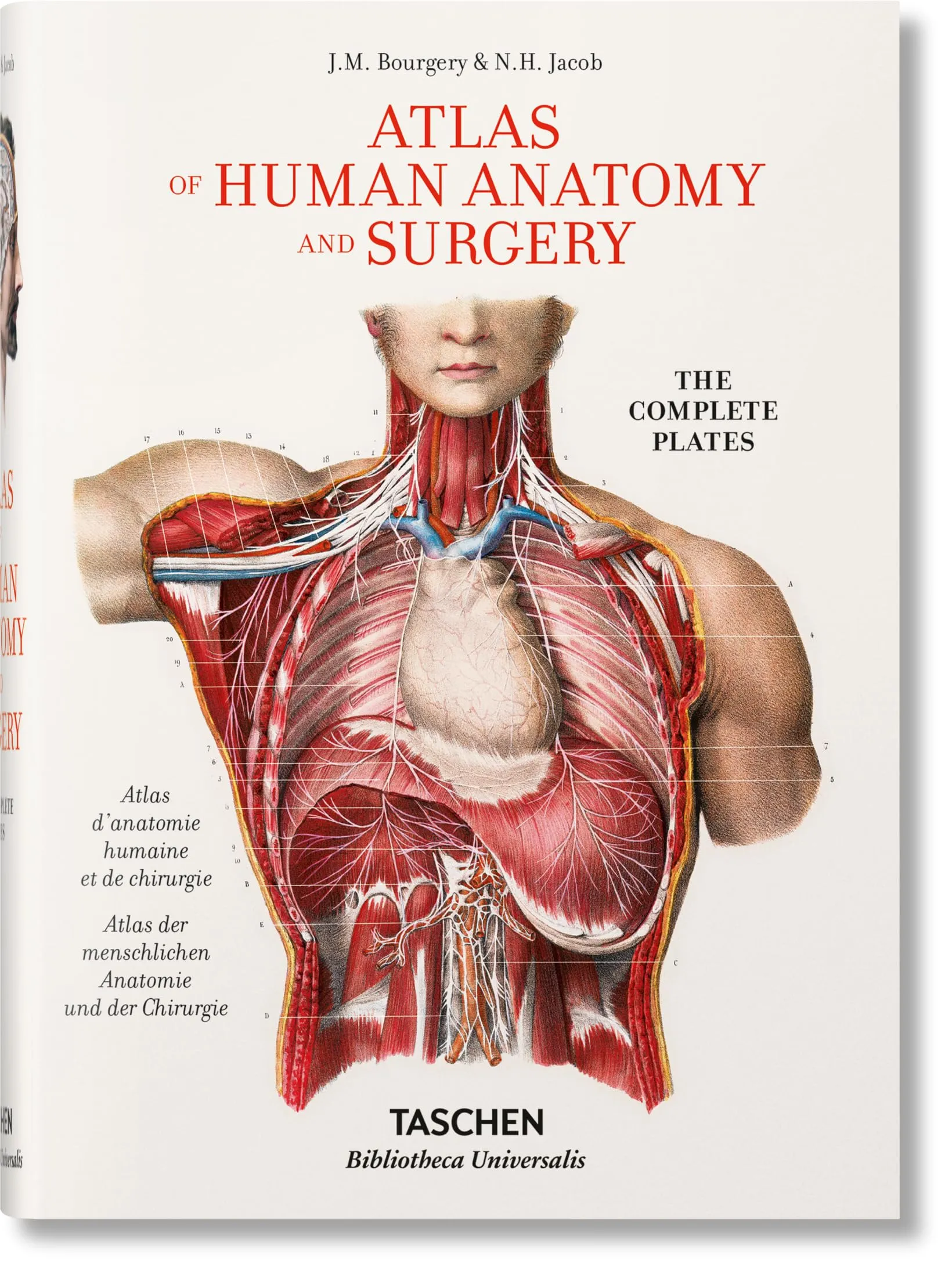 Bourgery. Atlas of Human Anatomy and Surgery