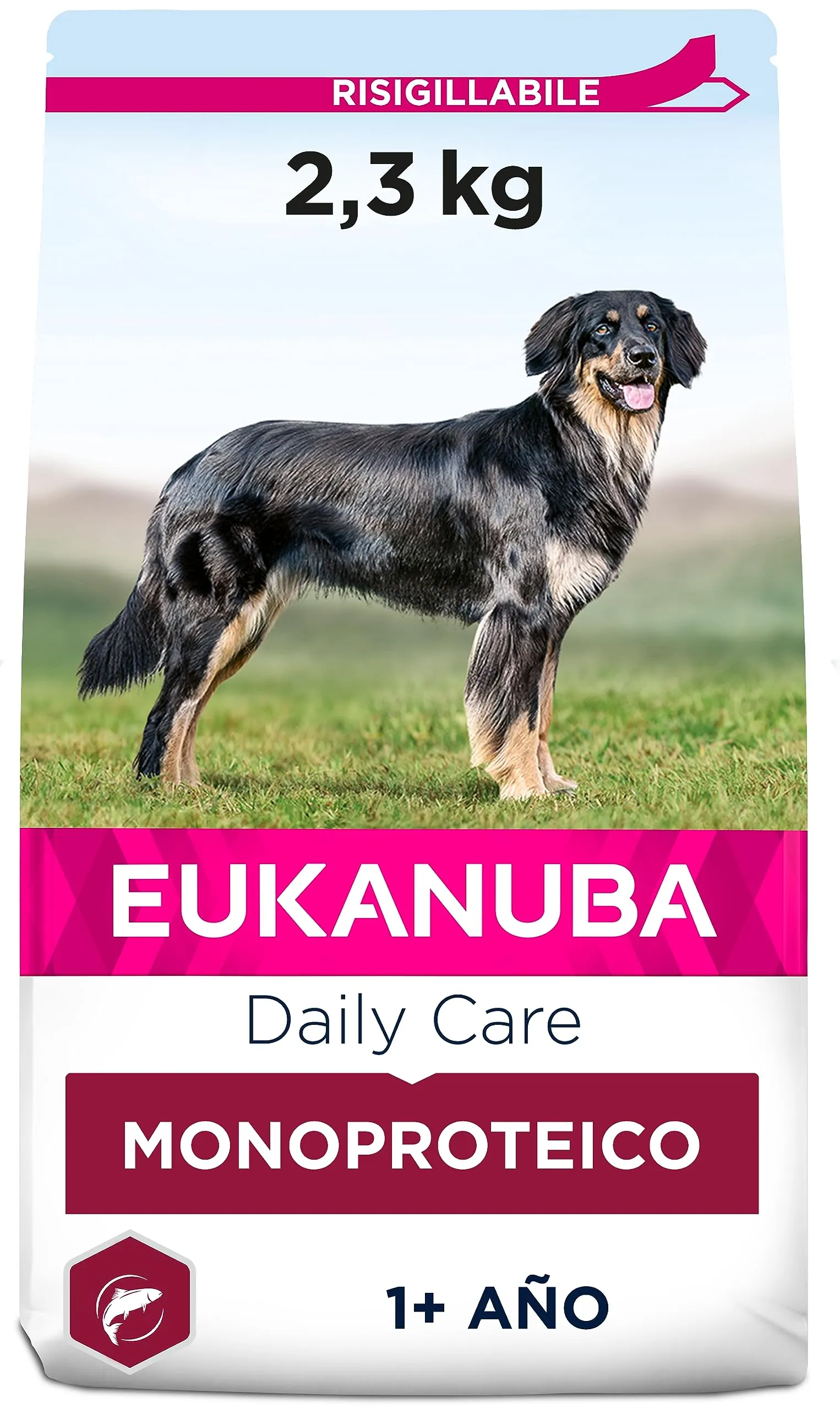 Eukanuba Daily Care, alimento secco per cani adulti - Monoproteico al salmone 2.3KG