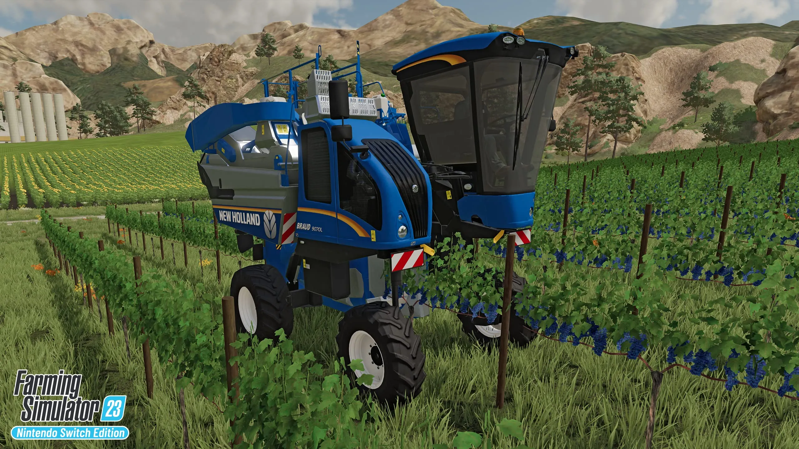 Miniatura 4