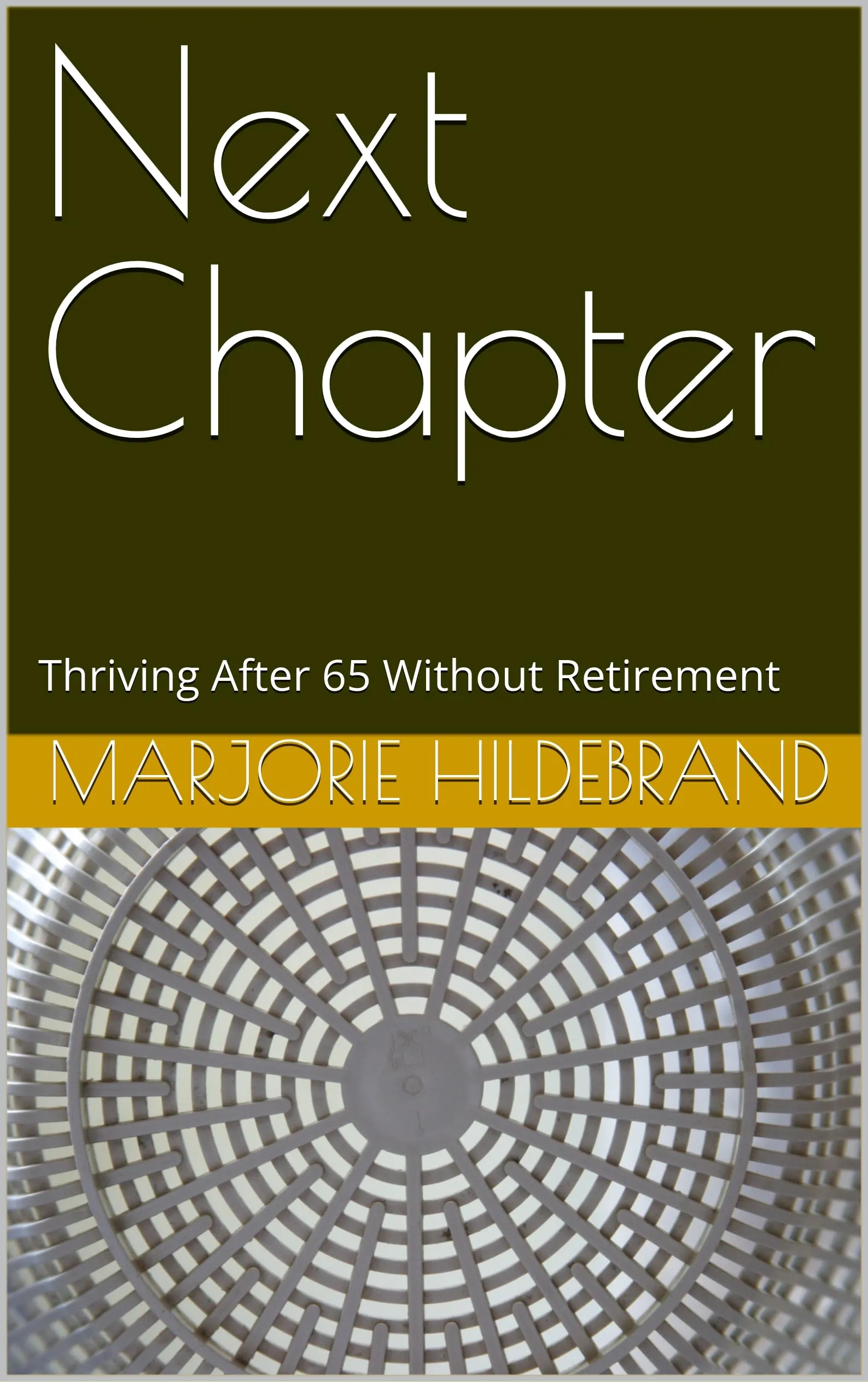 Next Chapter: Thriving After 65 Without Retirement (English Edition)
