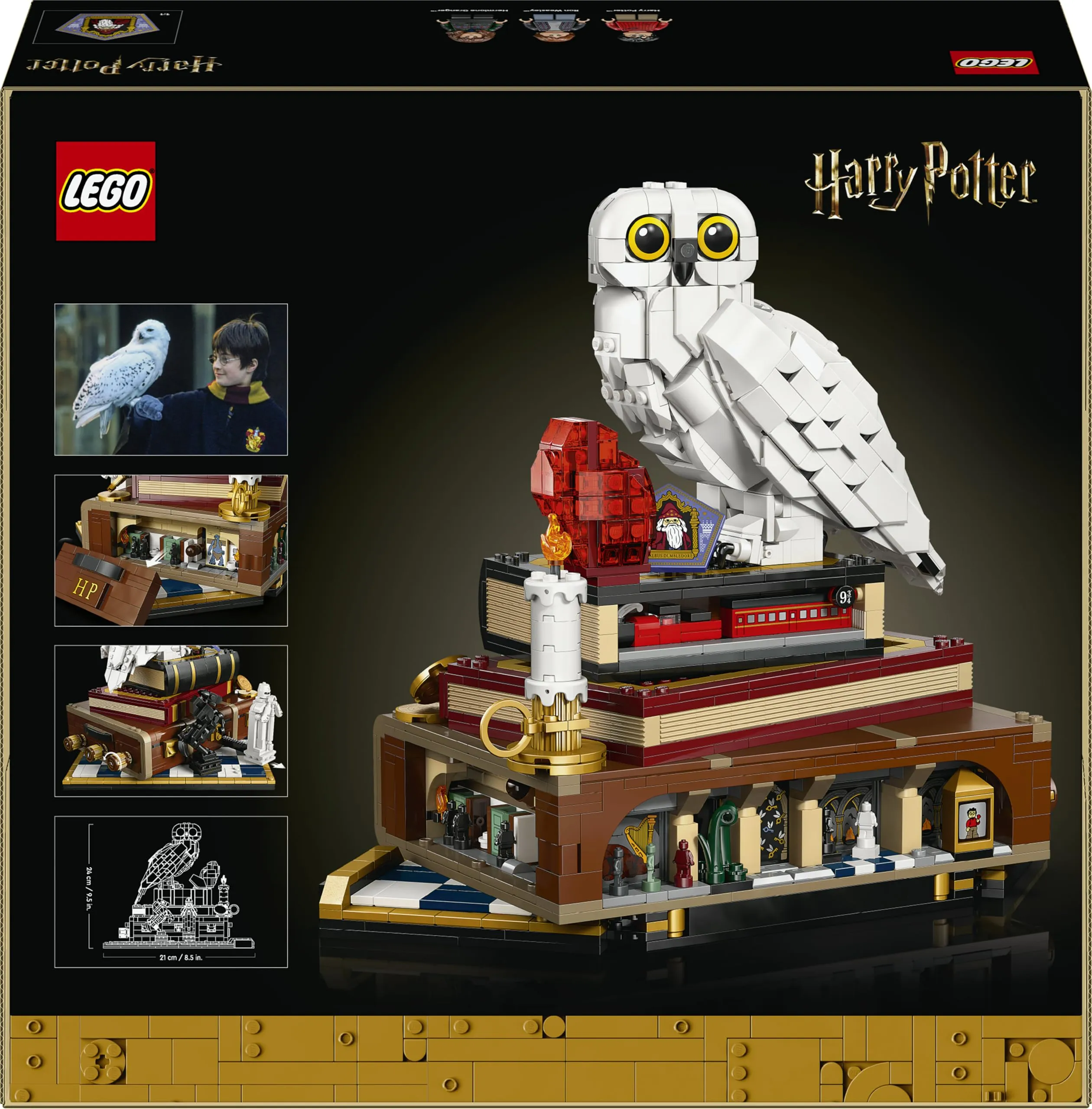 Miniatura 13