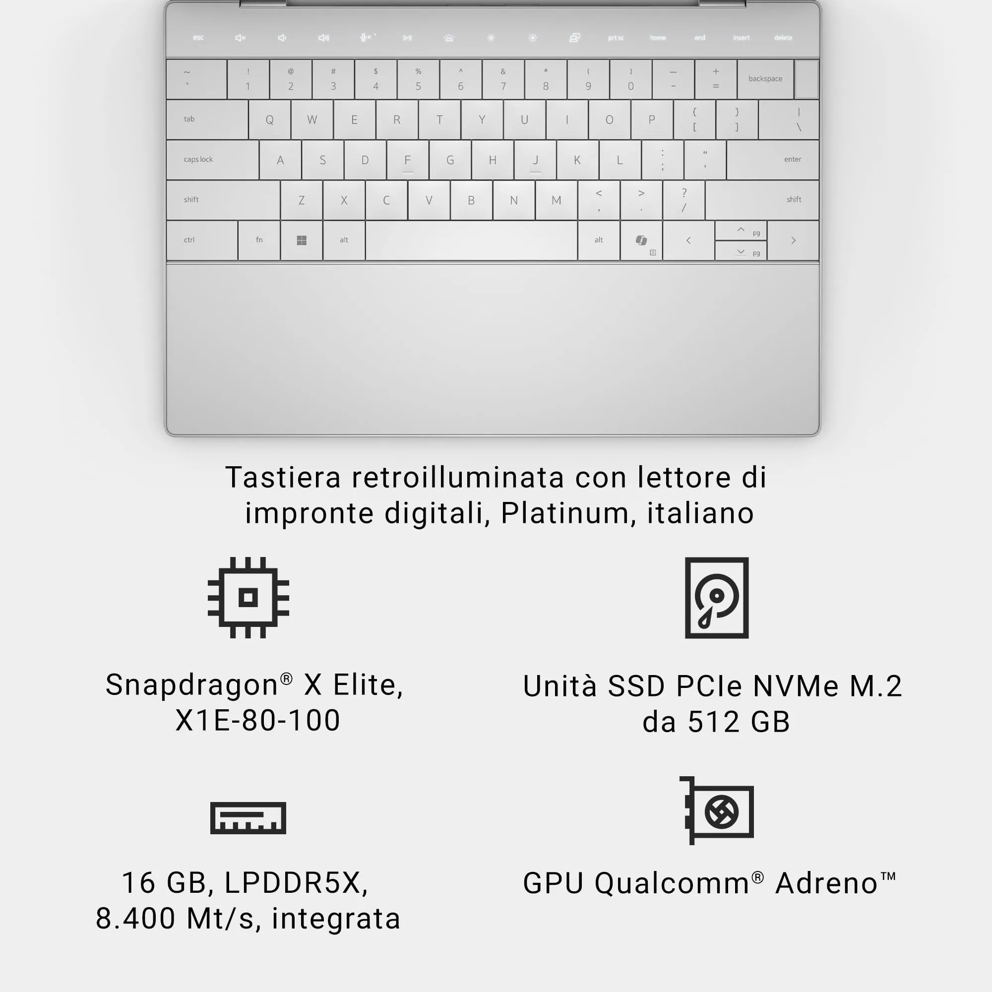 Miniatura 12