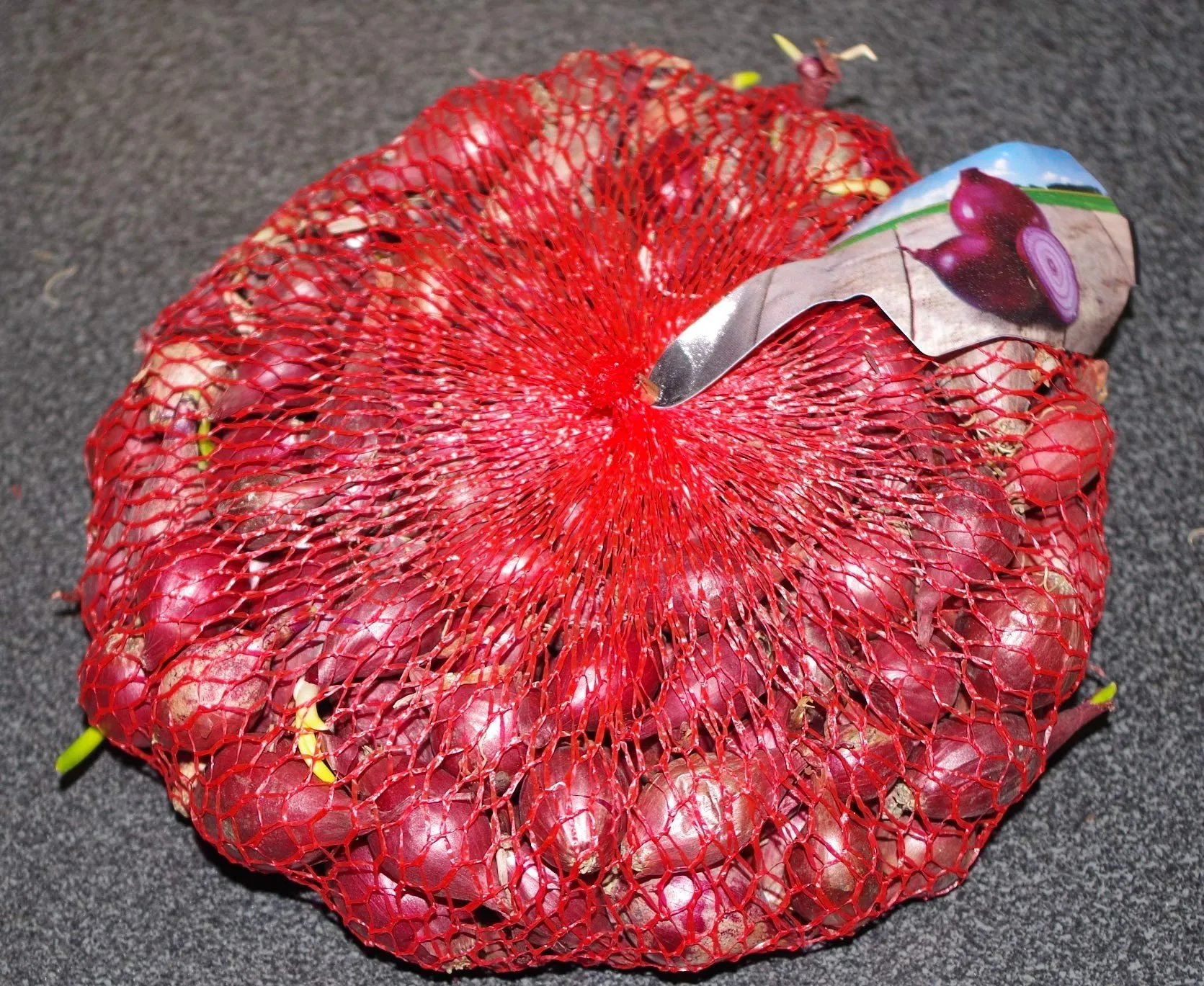 CIPOLLA DA SEMINA IN BULBI CONFEZIONE DA 500 GRAMMI (RED BARON (tipo tropea))