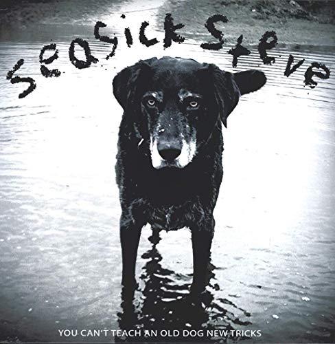 you can t teach an old dog