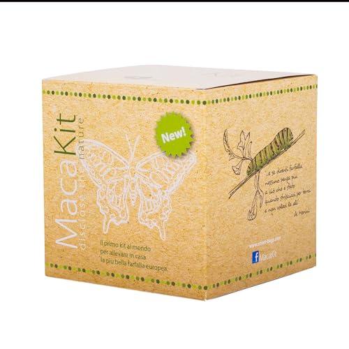 MacaKit, Il Kit per Allevare in Casa Le Farfalle Macaone - Esperimento educativo, Kit educativi scientifici per Bambini, Idee Regalo Bambino Bambina (KIT CON BRUCHI)