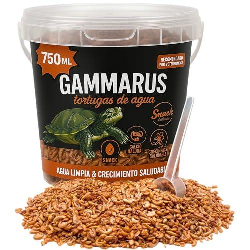 AF® - Selezione Gammarus per tartarughe d'acqua da 750 ml, Gamberetti per tartarughe d'acqua 75 g | Snack proteico, cibo tartarughe d'acqua con gammarus | mangiare per tartarughe d'acqua