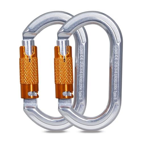 Moschettone da Arrampicata, Moschettoni per Servizio Pesante con Cancello a Vite Moschettoni per Arrampicata, Doppia, Campeggio Altalena Amache (22KN 2Pack)