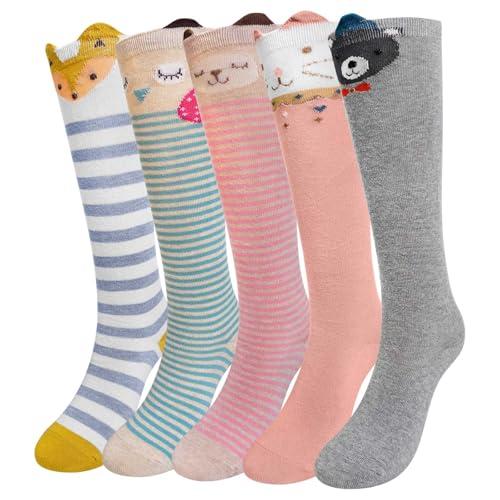 ZFSOCK Calzini Ginocchio Bambina Ragazze: Calzini Lunghi Senza Cuciture in Cotone - Calzettoni al Ginocchio Cartoon Caldo Righe Colorati per Bimba Compleanno Regalo di Natale Taglia 23-26 Volpe