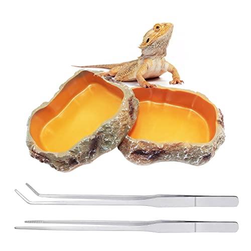 Reptile Growth terrario rettili 2 Ciotole per Cibo 2 Pinzette in Acciaio Inossidabile/Molle 27 cm Lunghe dritte/Curve per criceti, tarantole, Draghi barbuti, Tartarughe ，Geco leopardino，Serpente