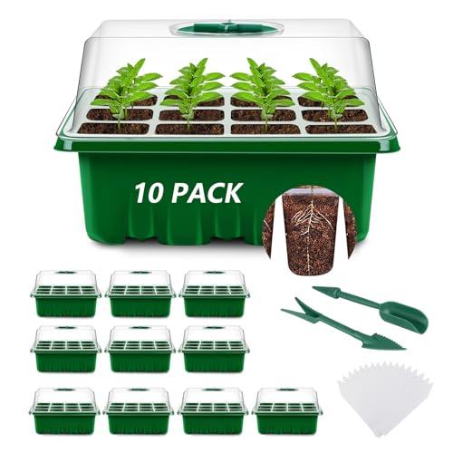 YAUNGEL Mini Serre per piante