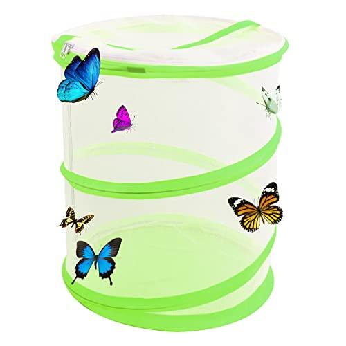 35cm Gabbia per Habitat Farfalla Insetti Casetta per Farfalle di Mesh Terrari per Insetti Pieghevole Gabbia di Farfalle per Habitat Allevamento Piantine Educazione Scientifica Osservazione (Verde)
