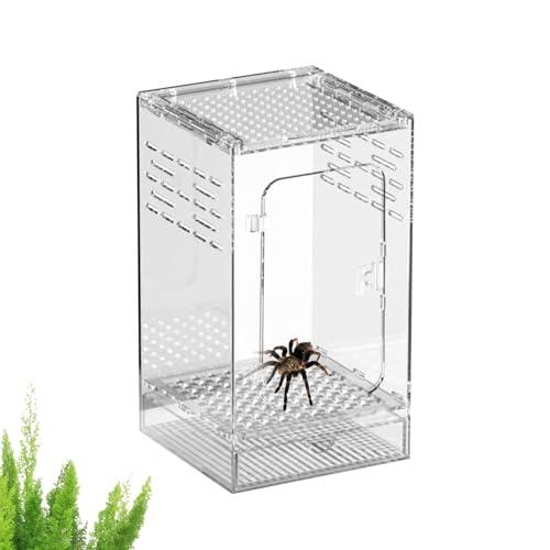 Terrario Per Ragni Saltatori,Terrario per ragni in acrilico ventilato - Habitat Trasparente Per Coleotteri | Per Rettile Lucertola Mantide Grilli Scorpione Scarabeo Serpente Tartaruga