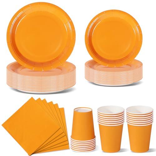 Nkaiso Stoviglie per Feste 96 Pezzi Arancione Festa della Addobbi Ragazza di Compleanno dei Dambini Articoli per Feste Set Include Piatto Usa e Getta di Carta Party Tazze Tovaglioli -24 Ospiti