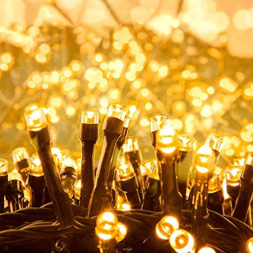 Quntis Luci di Natale da Esterno, 25M 1000 Led Luci Albero di Natale Bianco Caldo IP44 con 8 Modalità,Luci Natalizie per Esterno Interno Casa Feste