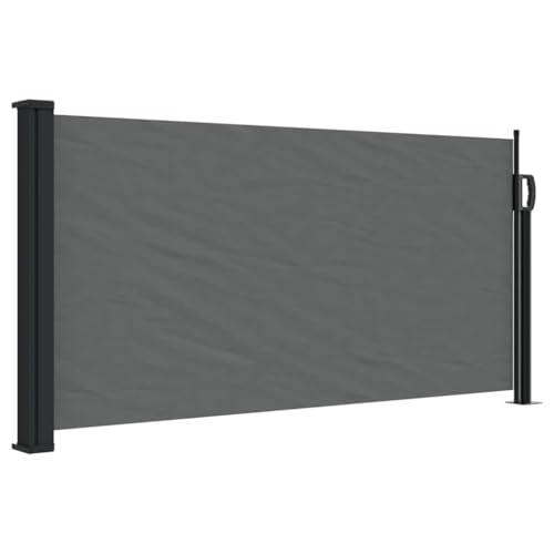 vidaXL Uitschuifbaar zijluifel antraciet 100x300 cm