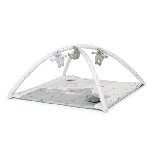 Foppapedretti Trainer Palestrina, Dolcestella
