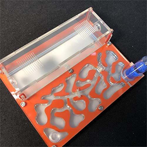 ANT GRAPE Formicario educativo per Formiche Farm per Provetta Formiche Live Umidità Grande Spazio Nido di Formiche in Acrilico, Formiche Insetti (Arancione)