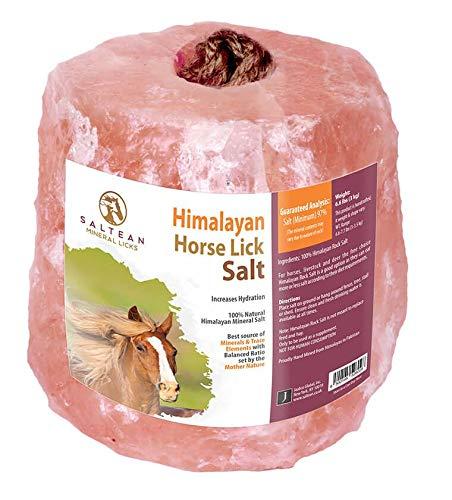 Leccare il cavallo Sale rosa | 3,5 kg |