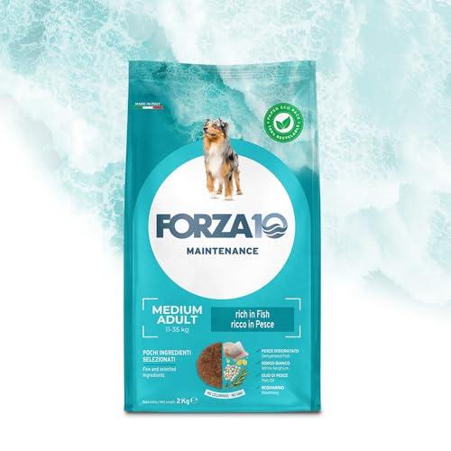 Forza10 Cane Maintenance Medium Adult Pesce - 12kg