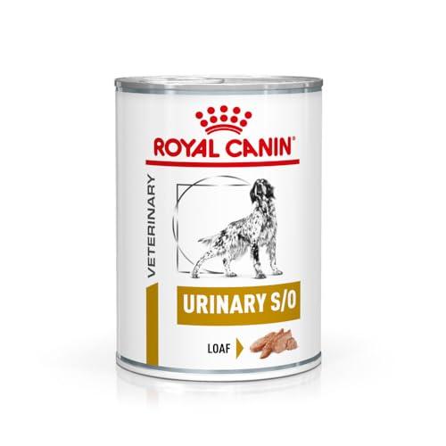 Royal Canin Veterinary Urinary S/O | 12 x 410 g | Mangime dietetico completo per cani adulti | Per sciogliere i calcoli di struvite e ridurre le recidive di calcoli di struvite