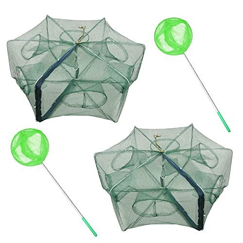 Trappola Per Gamberetti, ZffXH 2pcs Trappola Per Pesci, Portatile, Pieghevole, Per Granchi, Gamberi, Pesci, Pesciolini, Gamberetti, Trappola Pesci, Rete Trappola Pesca