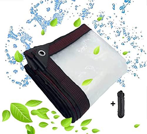 BCBIG telone trasparente occhiellato,tteloni impermeabile per esterno telo plastica polietilene con occhielli trasparenti occhiellati tende per antipioggia balcone legno pianta Giardino 2 x 3 m