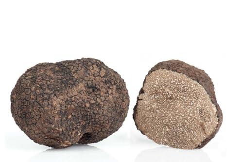 50 g Tartufo Nero Uncinato Fresco (tuber uncinatum Chatin), PRIMA SCELTA, origine Italia