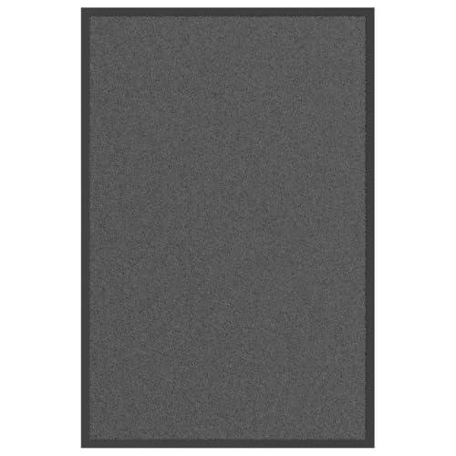 vidaXL Zerbino Antracite 60x90 cm, Tappetino, Tappetino di Benvenuto, zerbino Interno, zerbino d'ingresso, zerbino Esterno, zerbino Lavabile