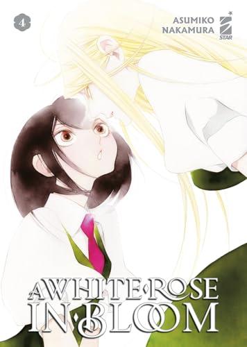 A white rose in bloom (Vol. 4)