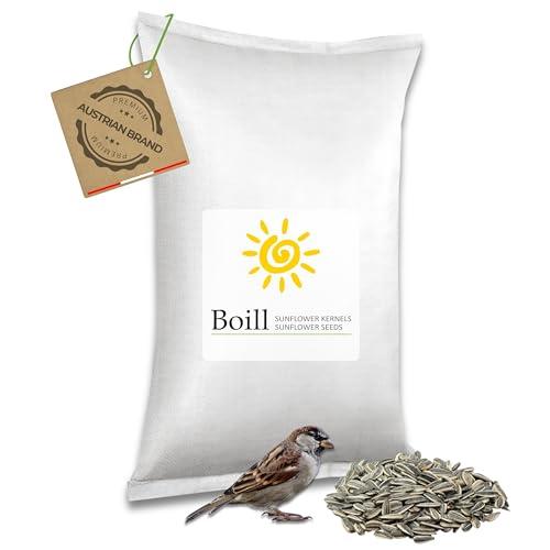 Boill/Semi di girasole 100% a strisce 25 kg