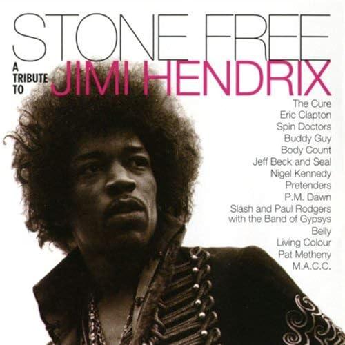 Stone Free: Tribute to Jimi Hendrix