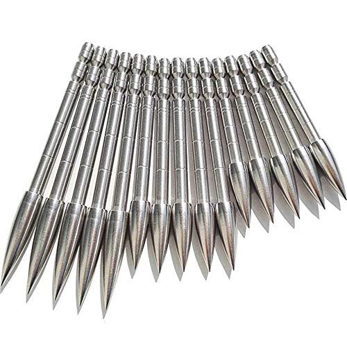 ZSHJG 12 Pezzi Tiro con L'Arco Punte della Freccia Inserire Freccia Punto per 4,2 mm Carbonio Freccia Shaft (100 grani)