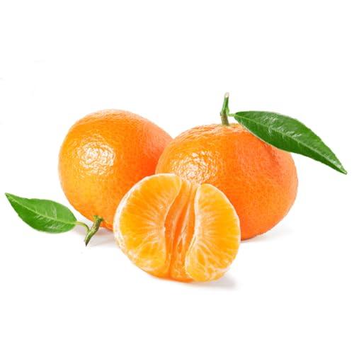 9 kg Clementine fresche dolci - mandarini senza semi agrumi igp - frutta da tavola - ideale da mangiare e da spremere - calibro misto