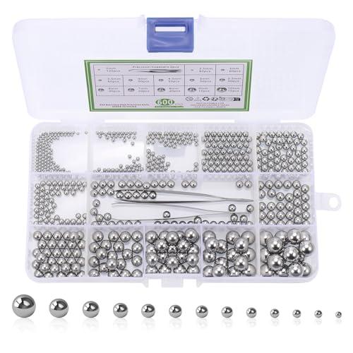 Fentar 600 Pezzi Sfere Acciaio Inox per Cuscinetti, 13 Dimensioni (2/2.5/3/3.5/4/4.5/5/5.5/6/7/8/9/10mm), Kit di Assortimento di Sfere Acciaio Lucidi per Biciclette/Skateboard