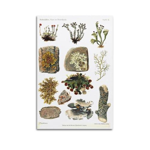 HNPBB Poster su tela, motivo: natura, motivo licheni e licheni invernali, decorazione artistica da parete, poster decorativo moderno, per camera da letto, per camera da letto (50 x 75 cm)