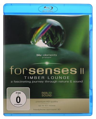 Forsenses II